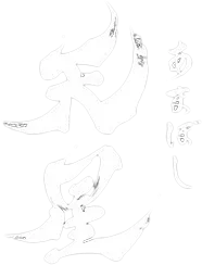 宇都宮食の商談会